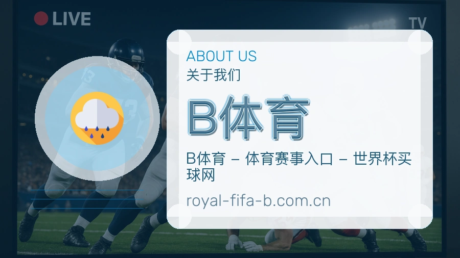 认识B体育